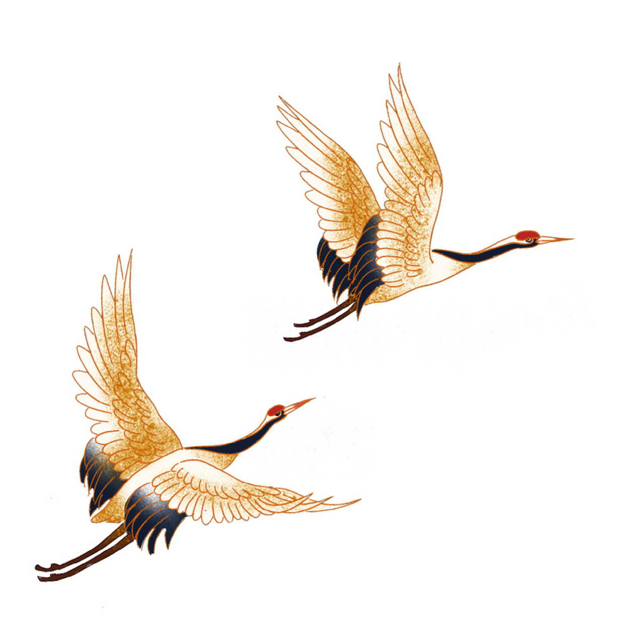 一直都在想要一组关于仙鹤的素材,今天终于被我给找到了!