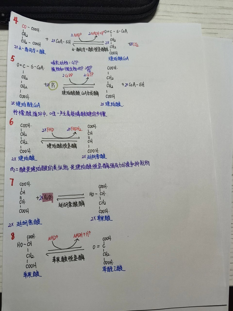 丙酮酸的三个去路:乳酸发酵,乙醇发酵,柠檬酸(三羧酸循环) 2.