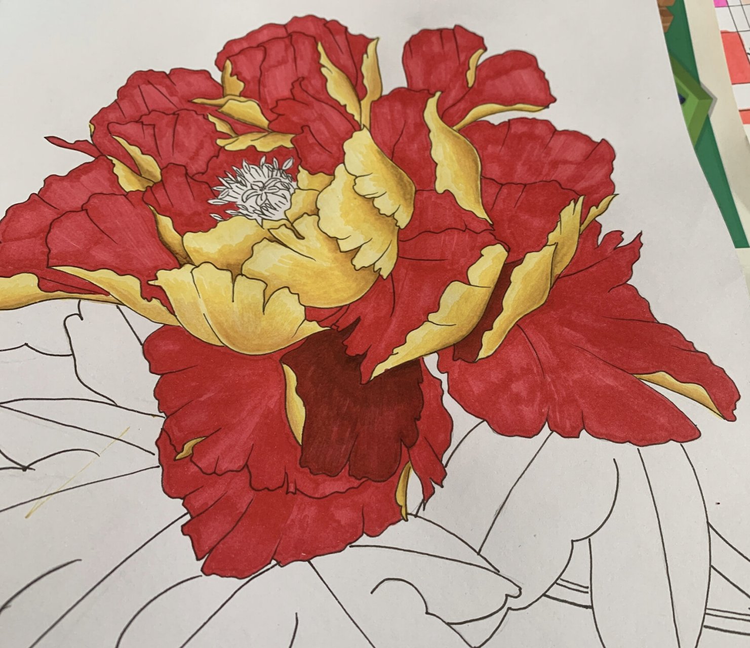 中国风手绘牡丹花手抄报手帐 图26615上色96完成图.