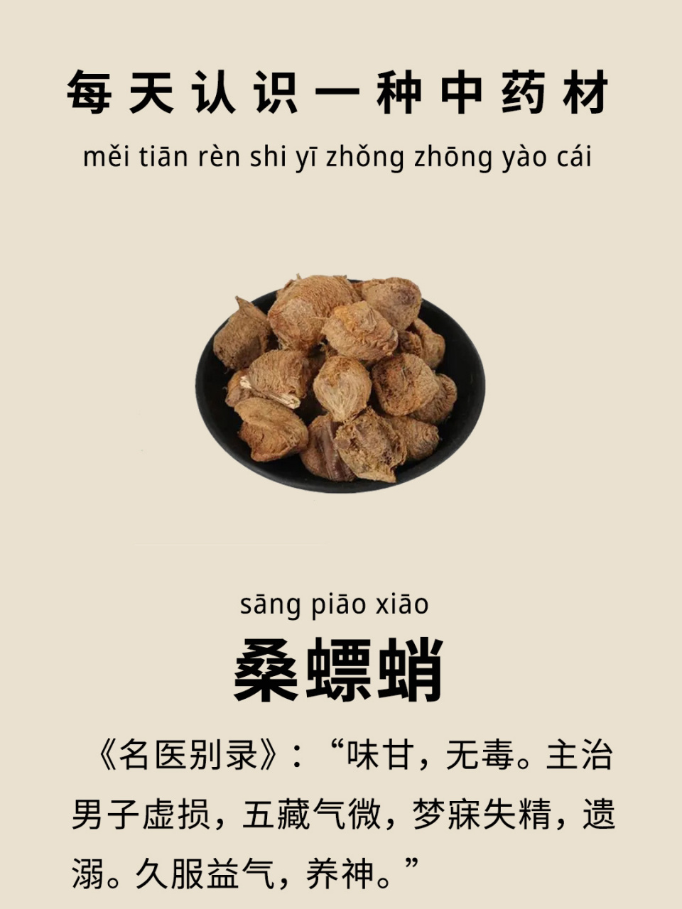 昆虫中药认识大全图片图片