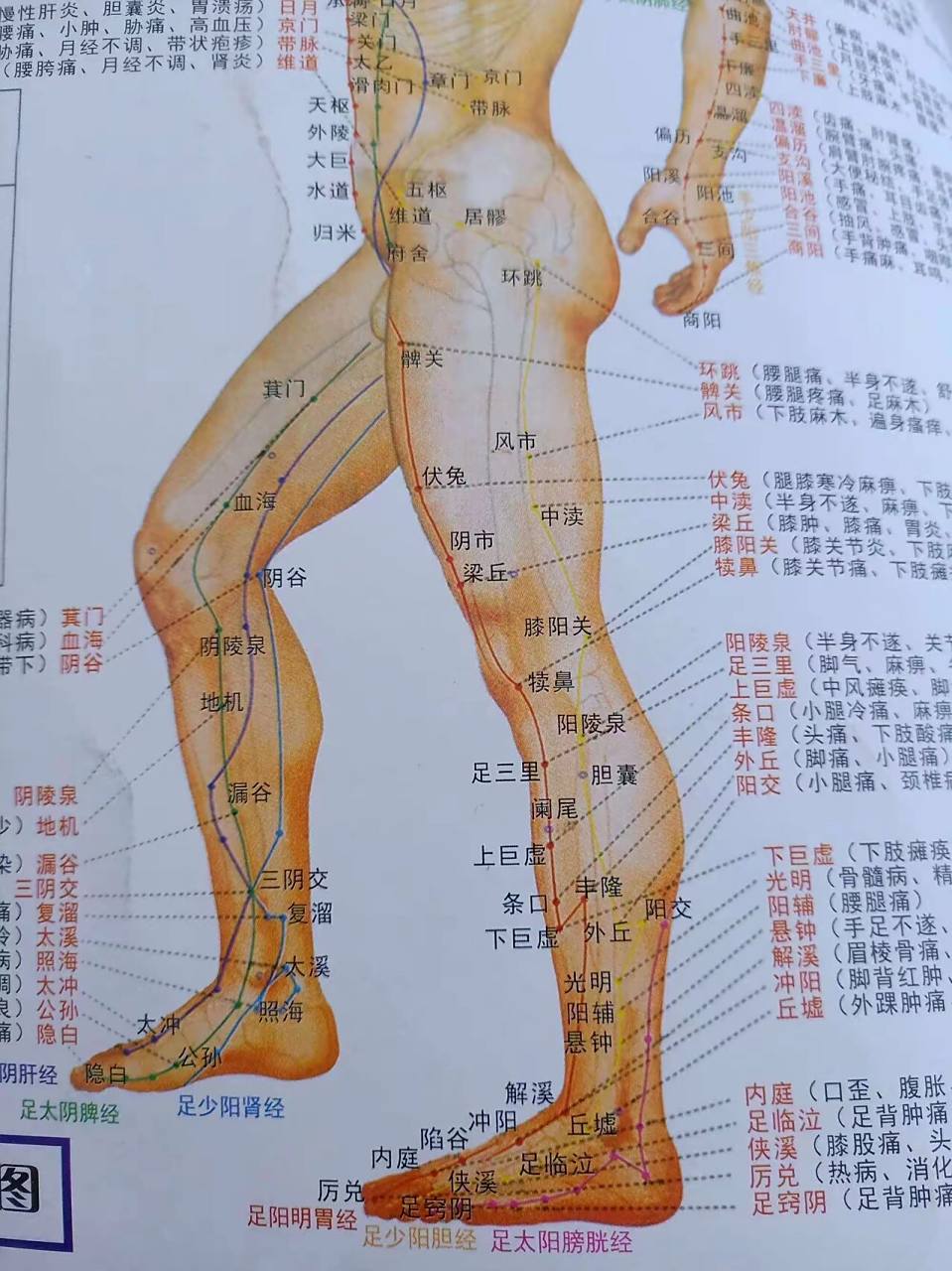 话说我腰不太好,刮大腿外侧刮起来还挺酸爽的.