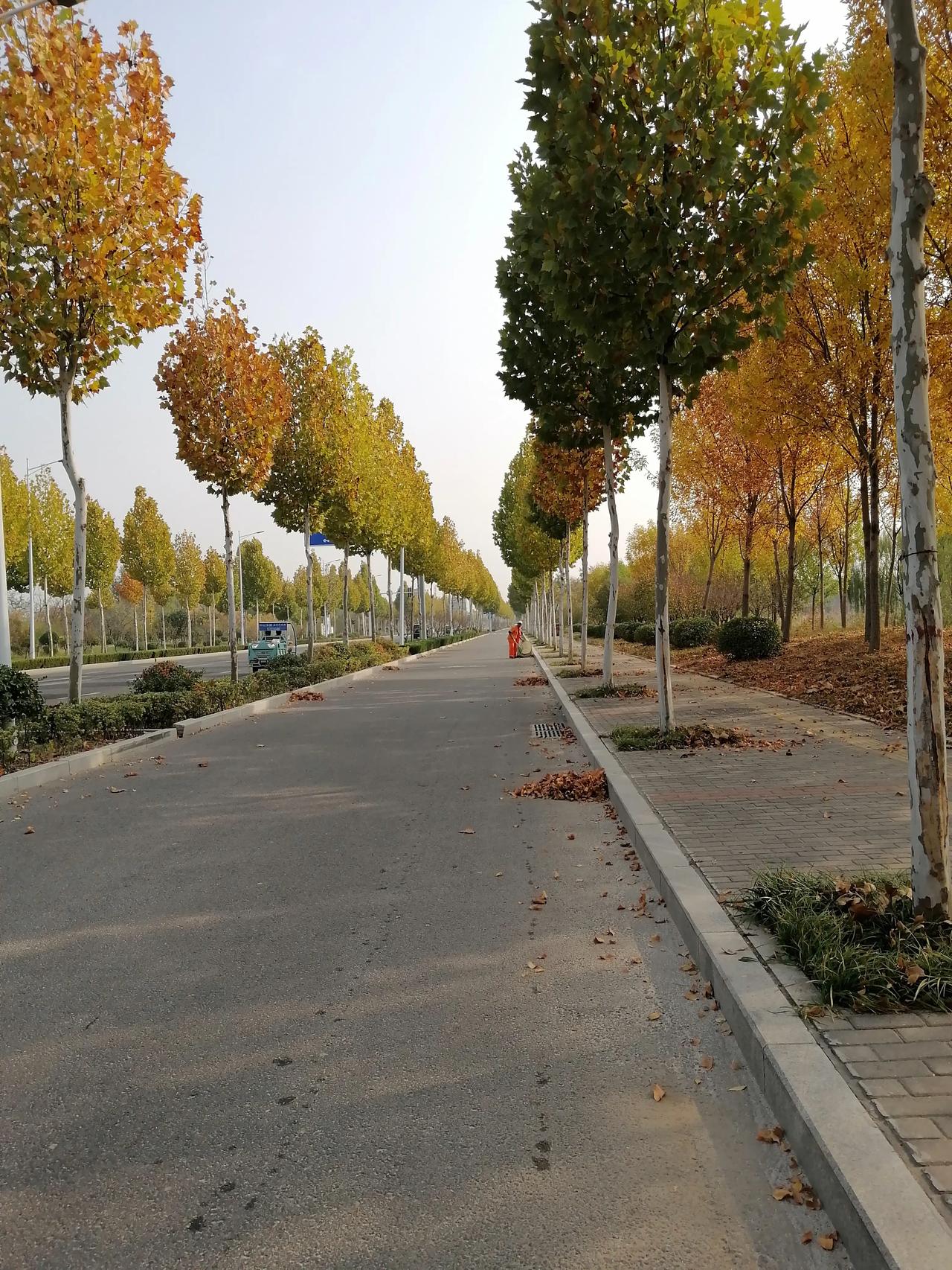 盼望着,盼望着,退休的脚步近了,每天的心情说不出的感觉