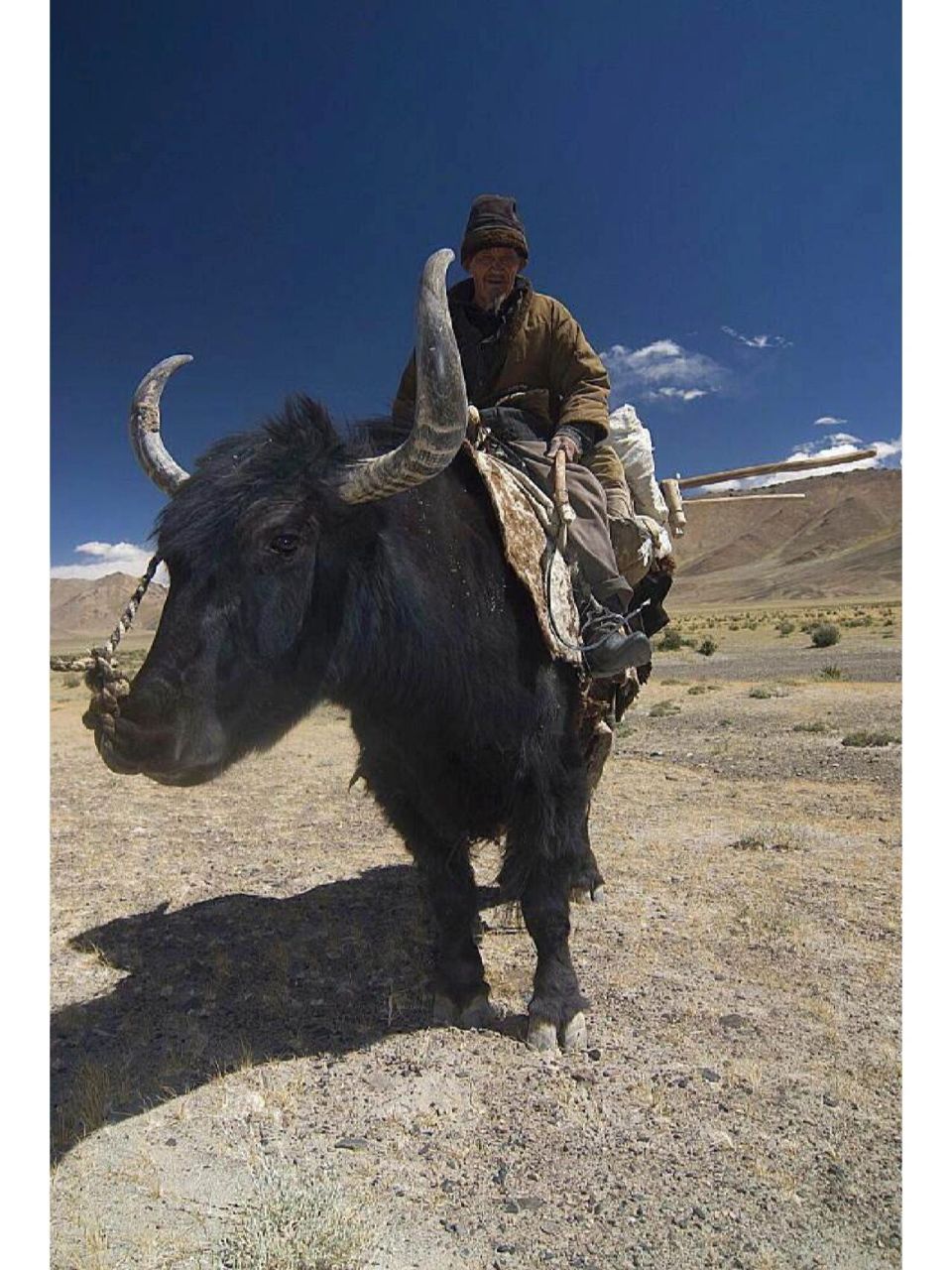 骑牦牛|人物动态绘画素材参考