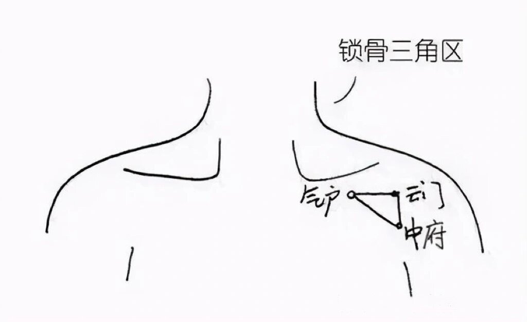 锁骨三角 有助于补益肺气 95位置:锁骨下窝,位于锁骨中段下方2厘米