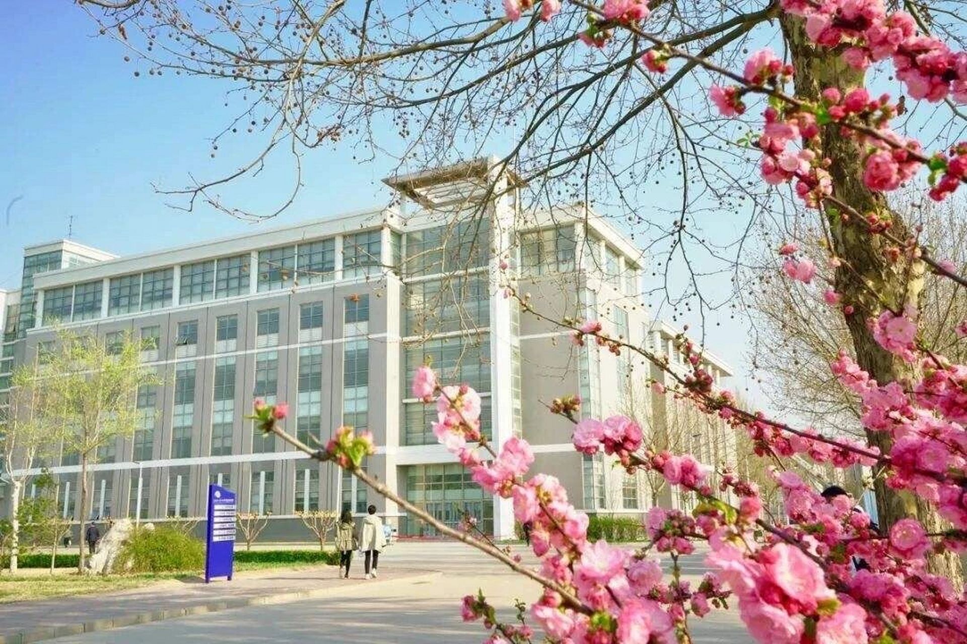 天津市专升本|理工大学中环学院简介 天津市理工大学中环信息学院