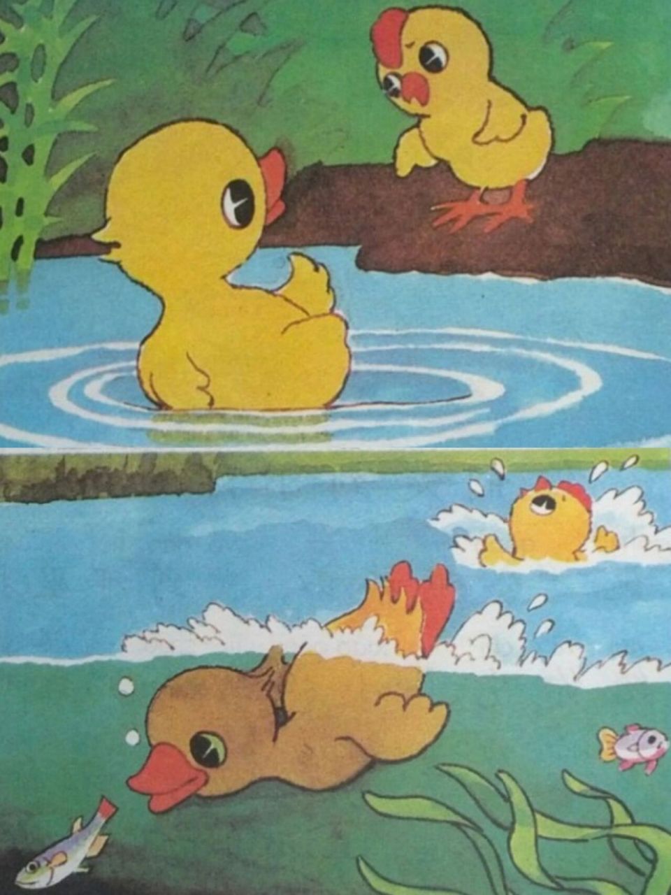 30岁重读小学语文:吃虫的小鸡不抓鱼哈!