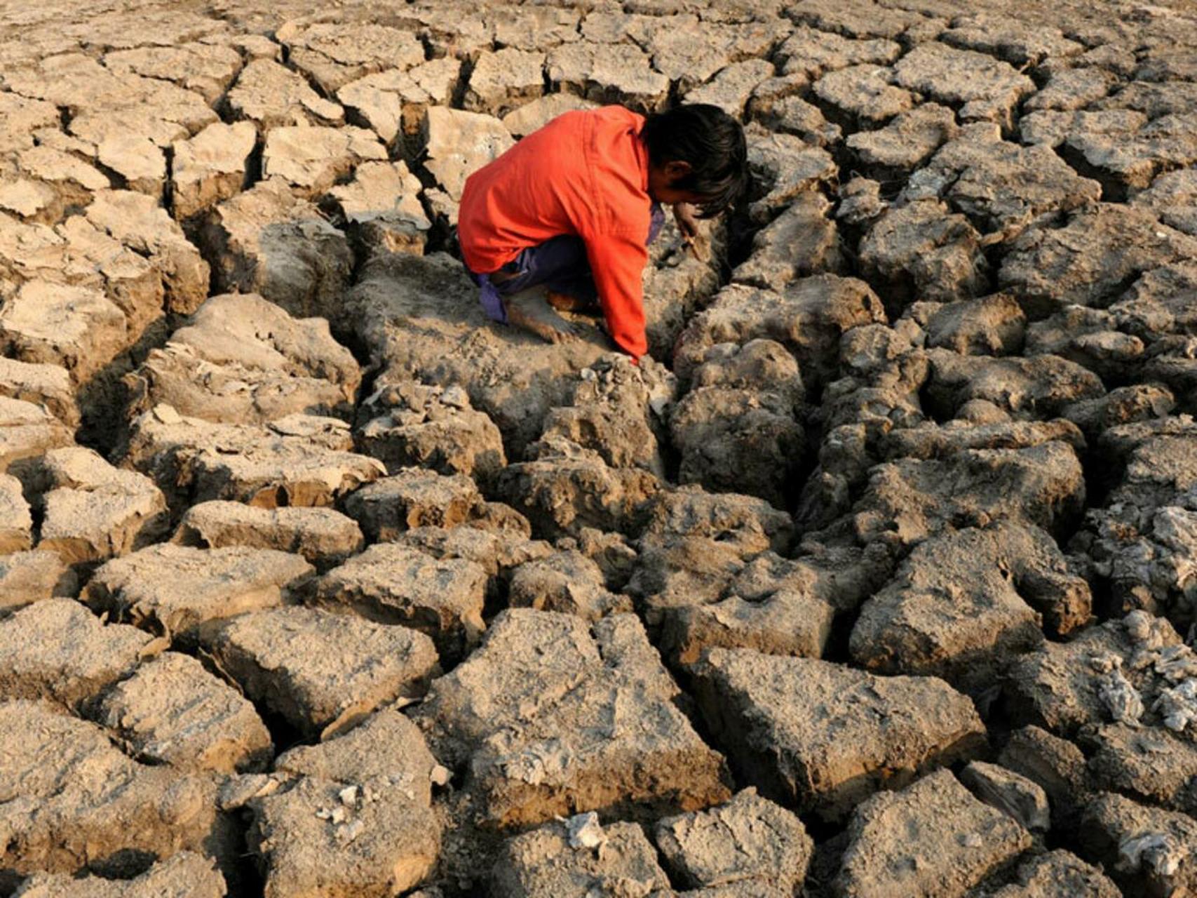 伊拉克最著名的两条大河底格里斯河和幼发拉底河濒临干涸,两河之间的