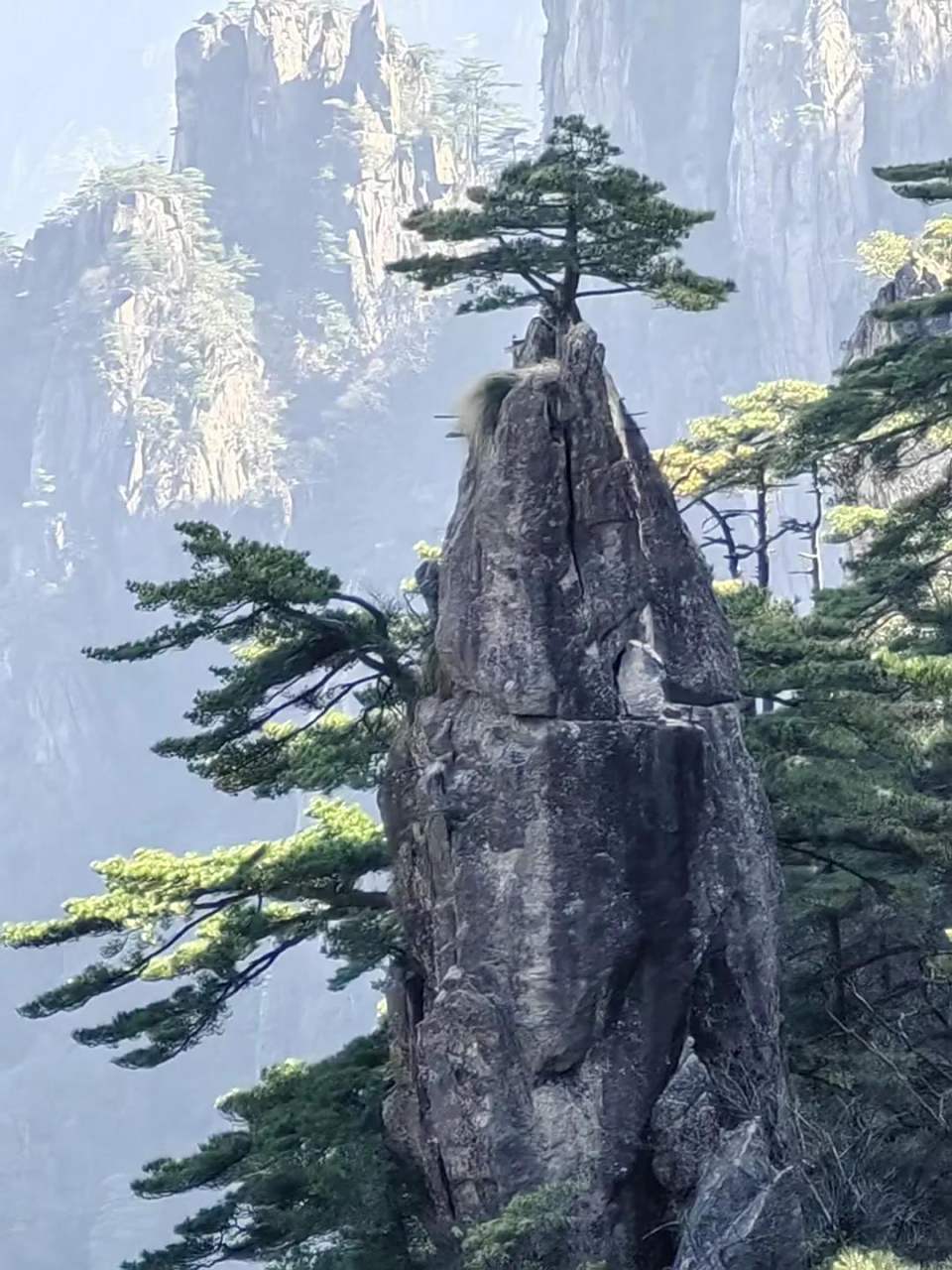 安徽黄山,人间胜境之迎客松