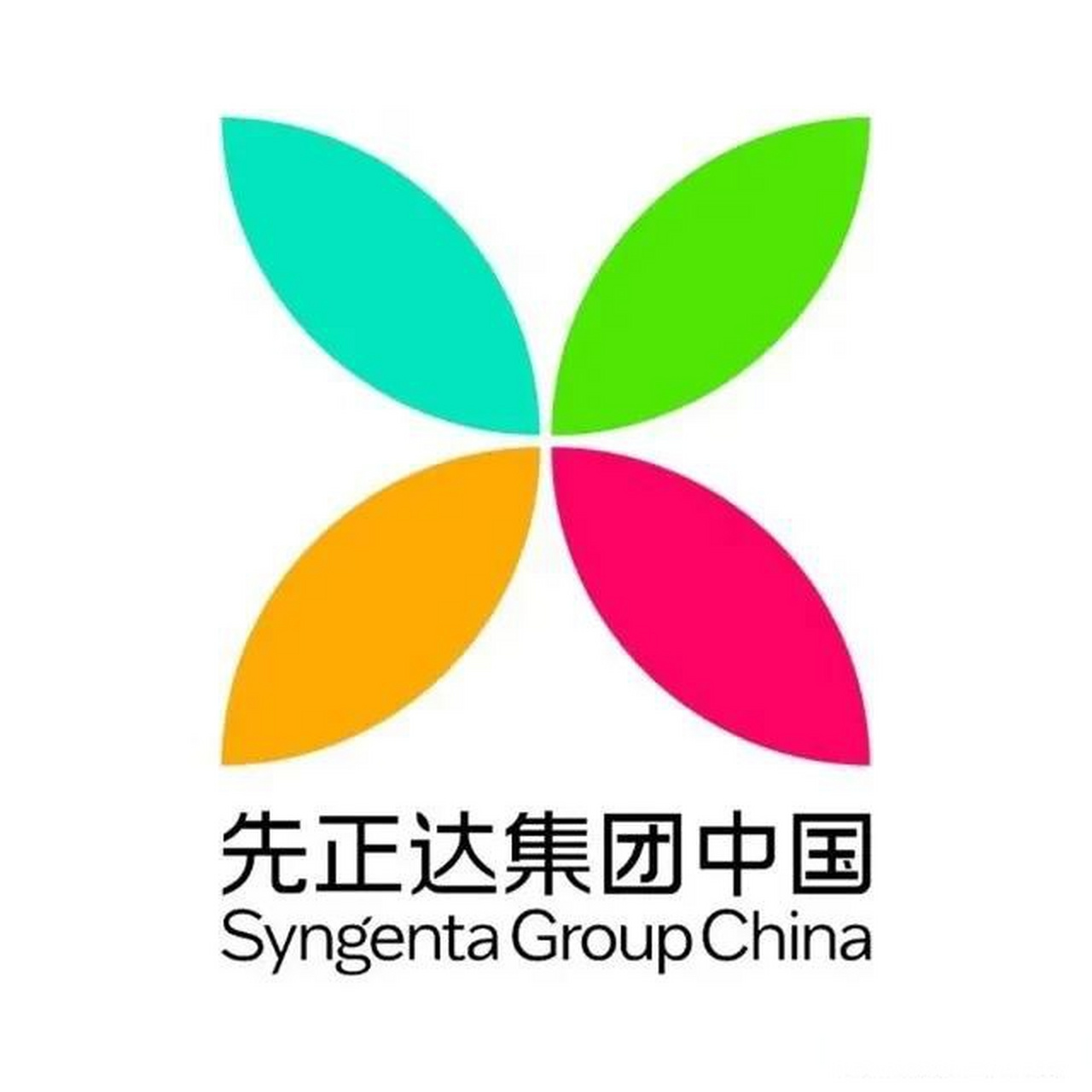 先正达集团于 2019 年注册于上海,是由"两化集团"(中化集团和中国化工