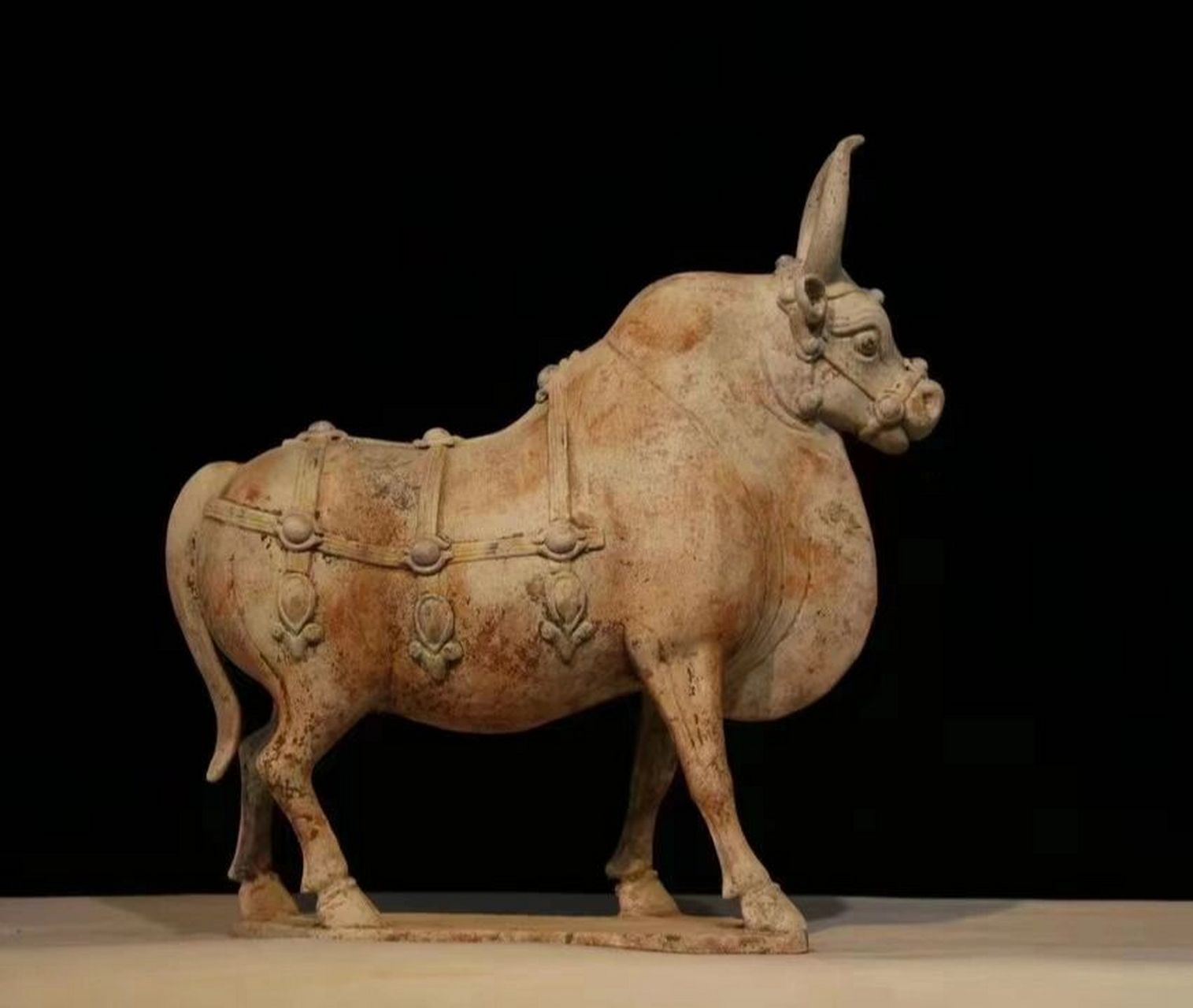 陶牛, 陶器,  陶牛体格雄健,牛头高昂,脖颈坚