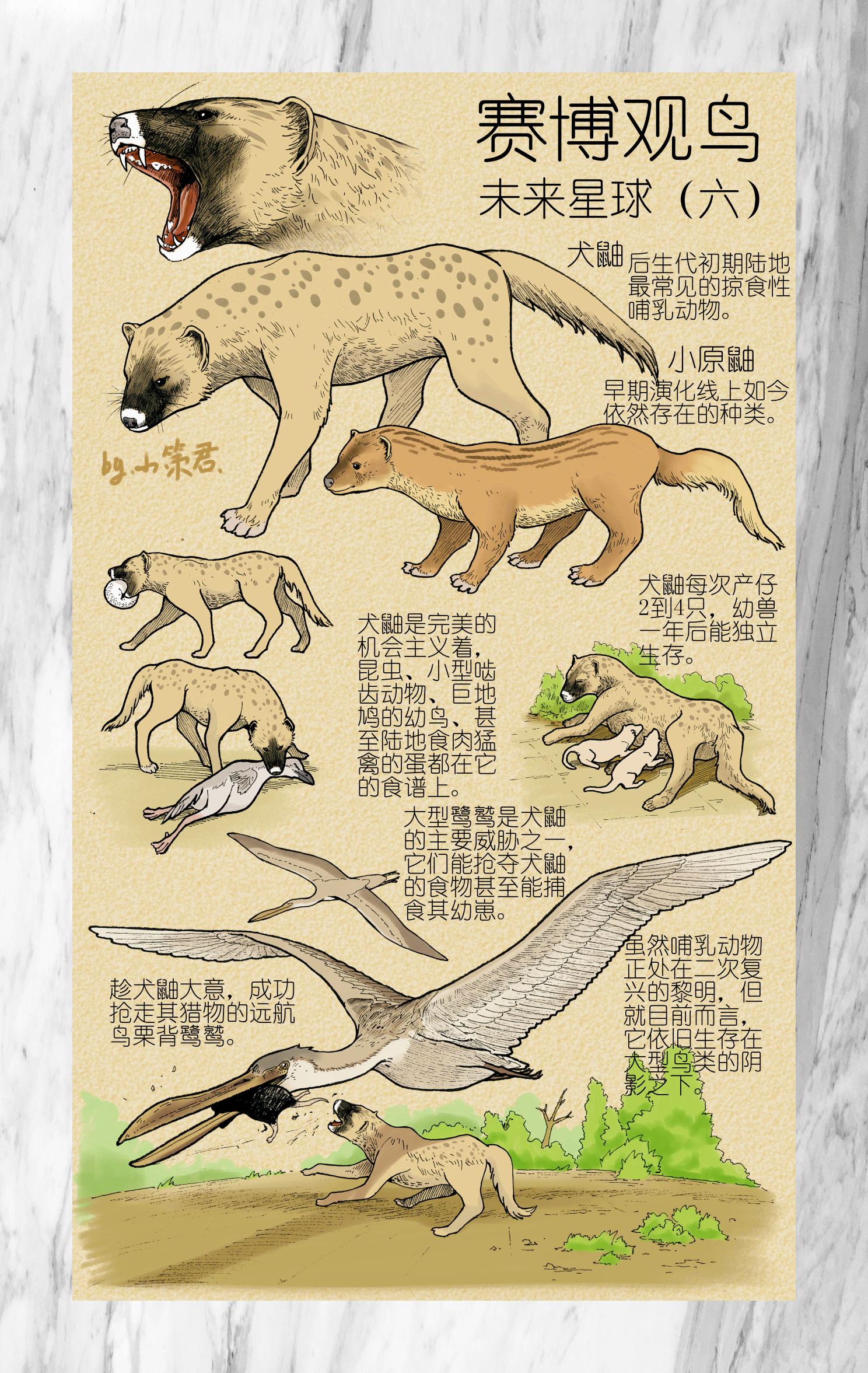 哺乳动物新生代二次繁荣的曙光