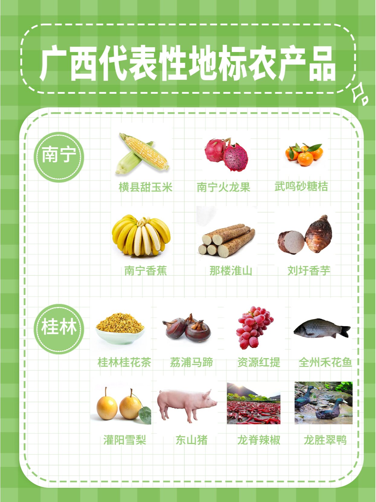 广西各地代表性地标农产品风物知多少