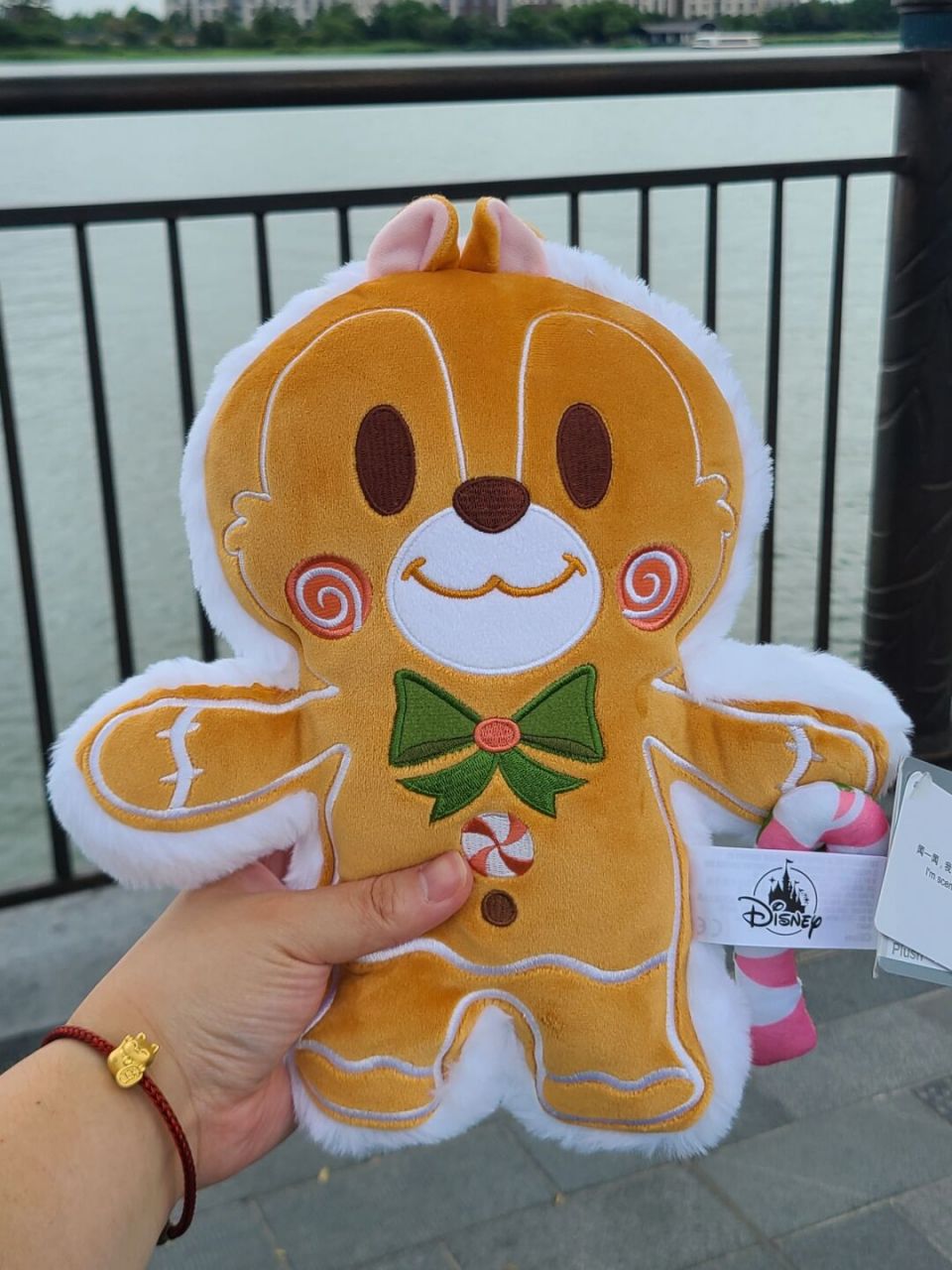 7977dd姜饼人抱枕 #奇奇蒂蒂# #姜饼人# #上海迪士尼
