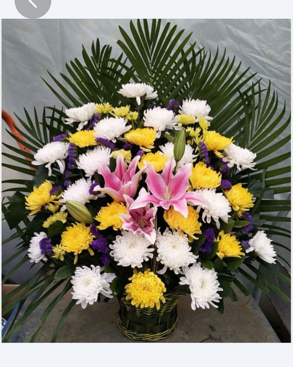 爷爷奶奶都是很好的人,善良为人厚道.