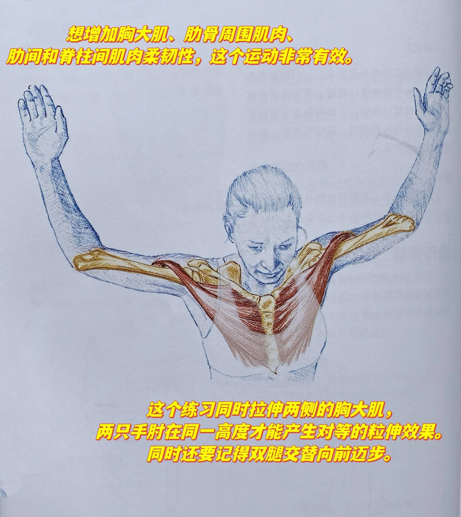 胸大肌的两种简单拉伸方法