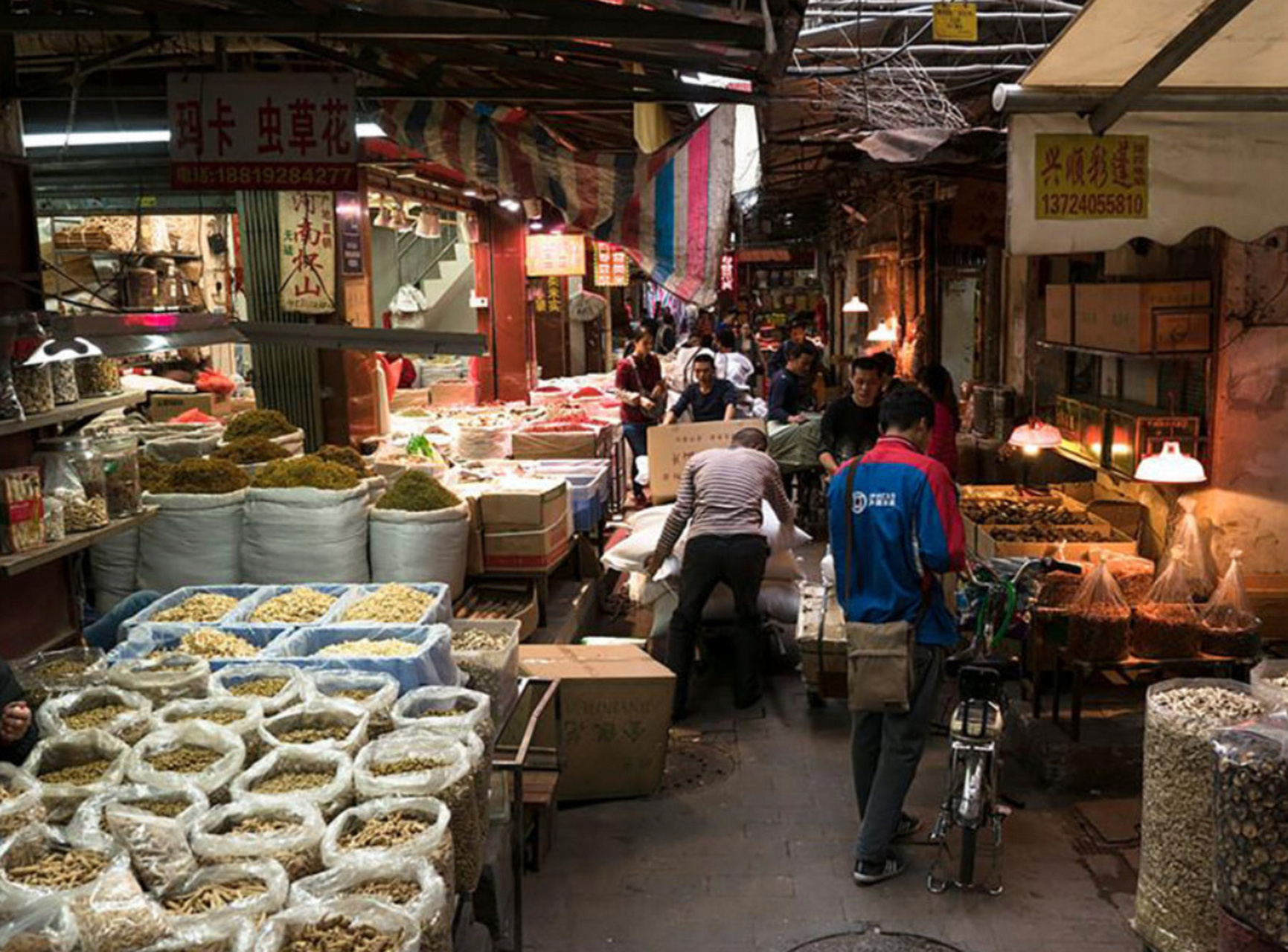 广州清平路 " 黄飞鸿 "时期的中药材市场 清平路中药材市场是全国最大