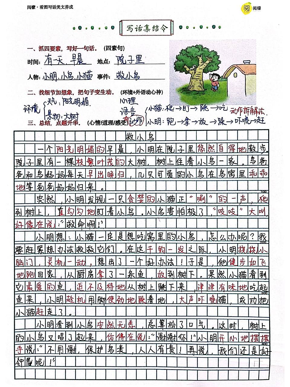 一二年级《救小鸟》看图写话指导 参考范文 一二年级看图写话指导《救