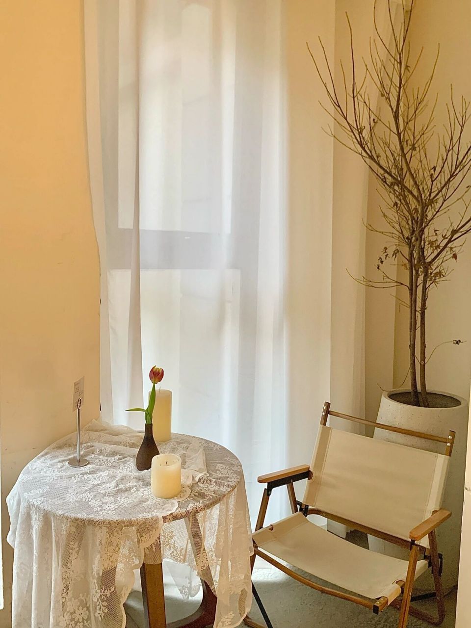 一些可以当背景图的照片 拍照5分钟 p图5分钟 苹果自带的调色调出来真