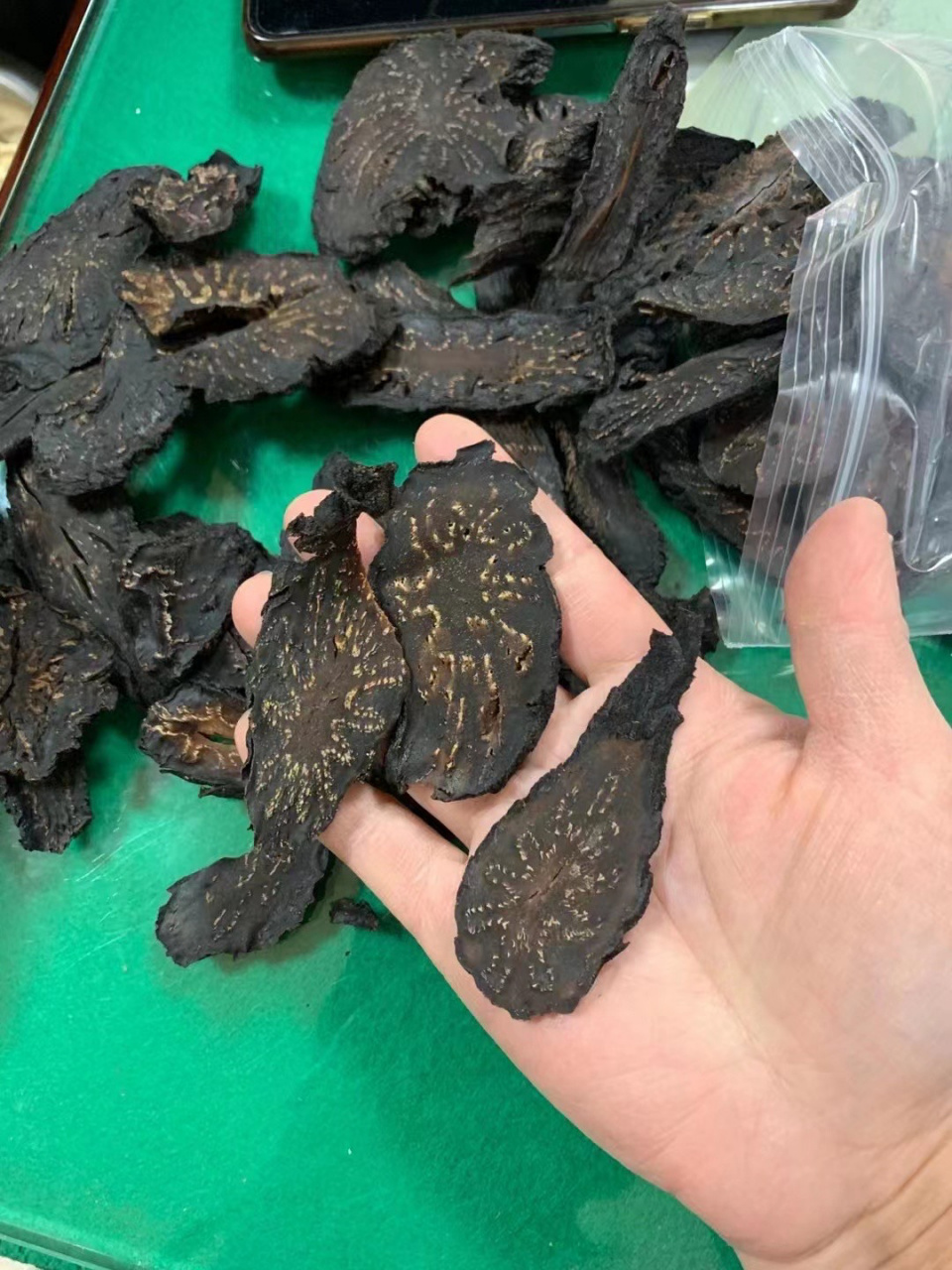 补肾中药排行(补肾中药 药名)