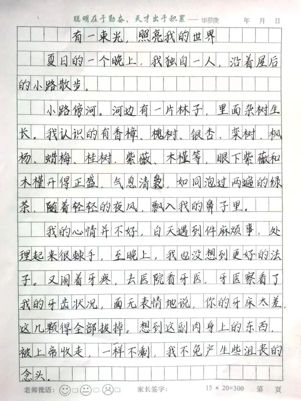 《有一束光,照亮我的世界》练字·作文