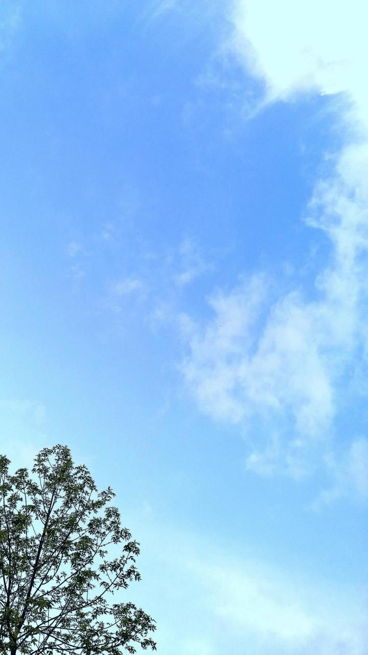 分享几张干净的天空照片