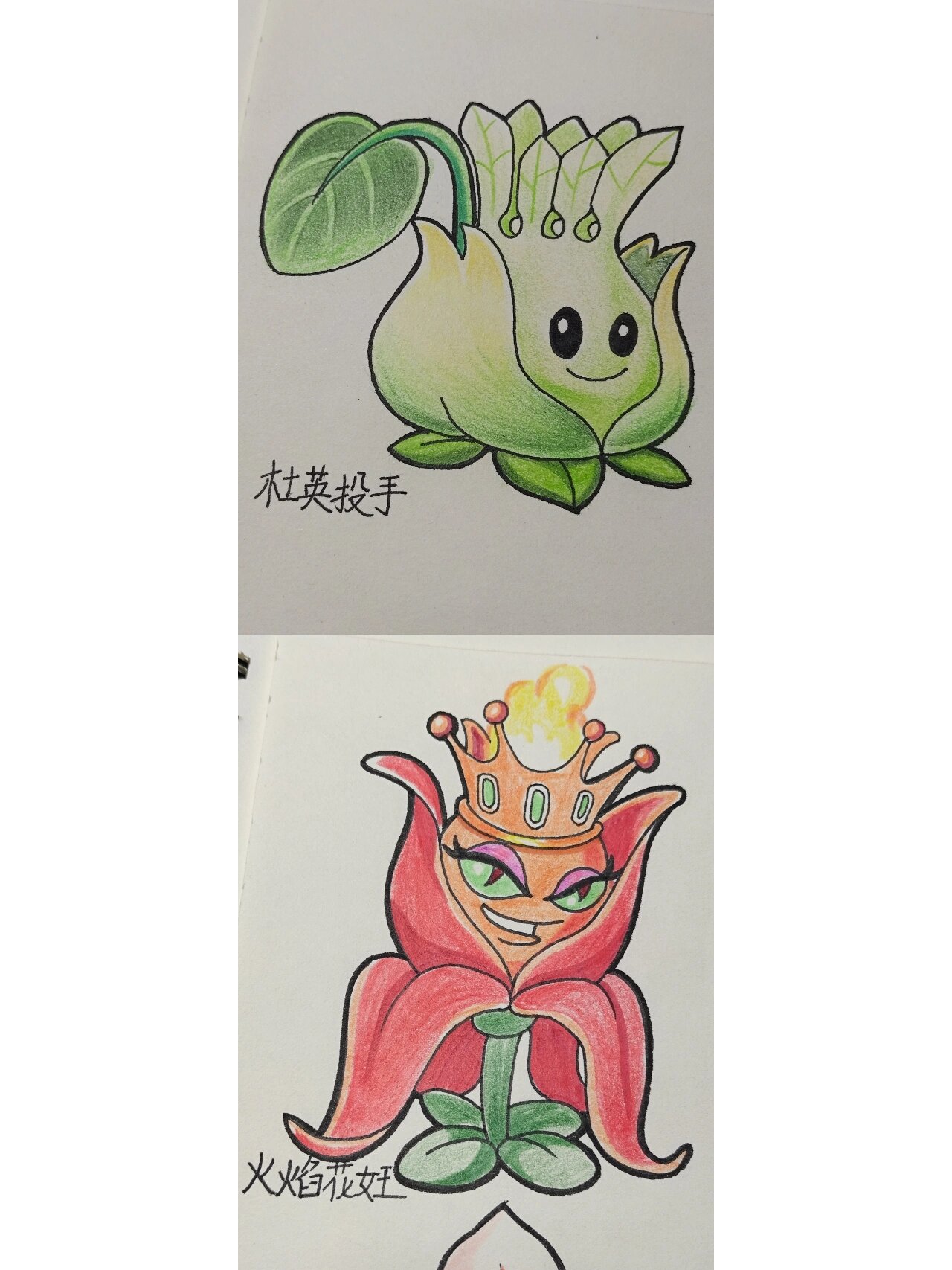 怎么画植物大战僵尸 简笔画