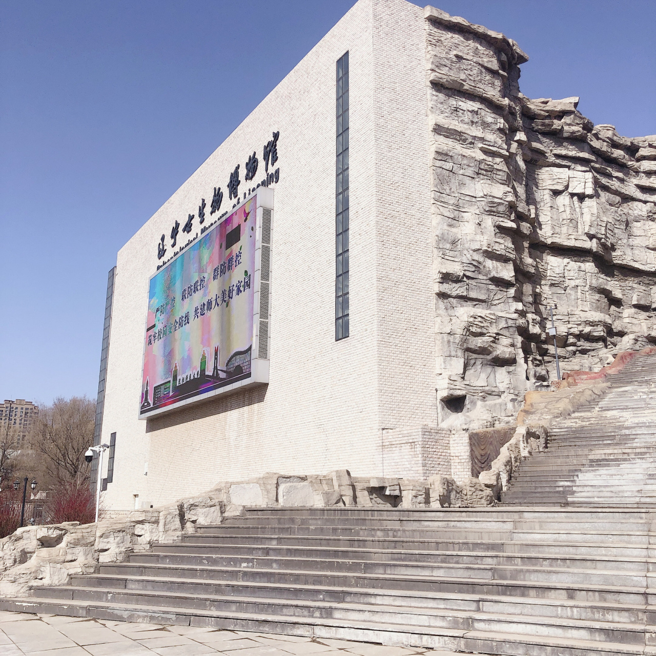 沈阳遛娃✅辽宁古生物博物馆🦕 值得一去! 因疫情原因 闭馆大约一