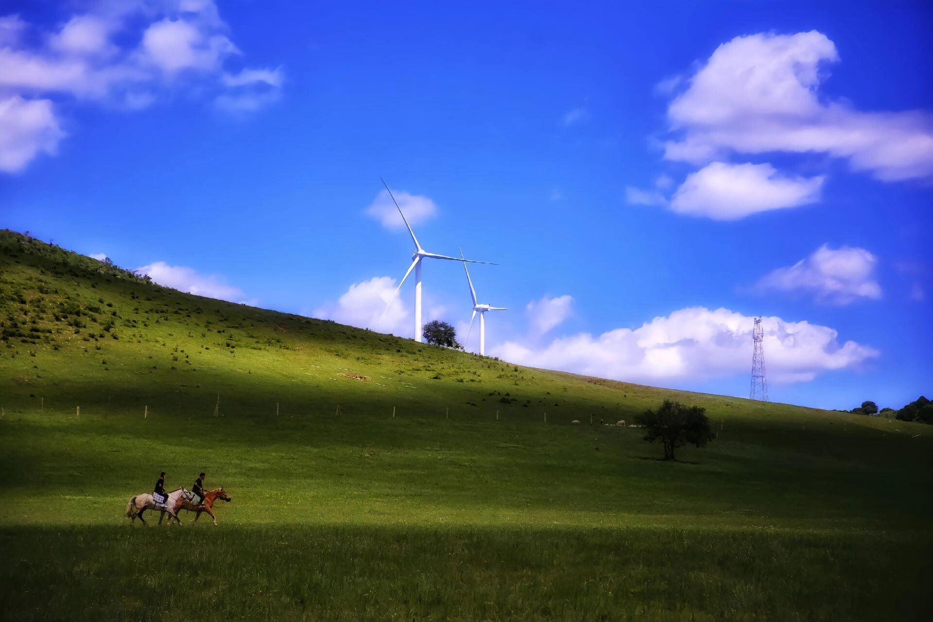 木兰围场坝上草原是怎么坑外地人的 坝上草原 年年有人骂,年年爆满的