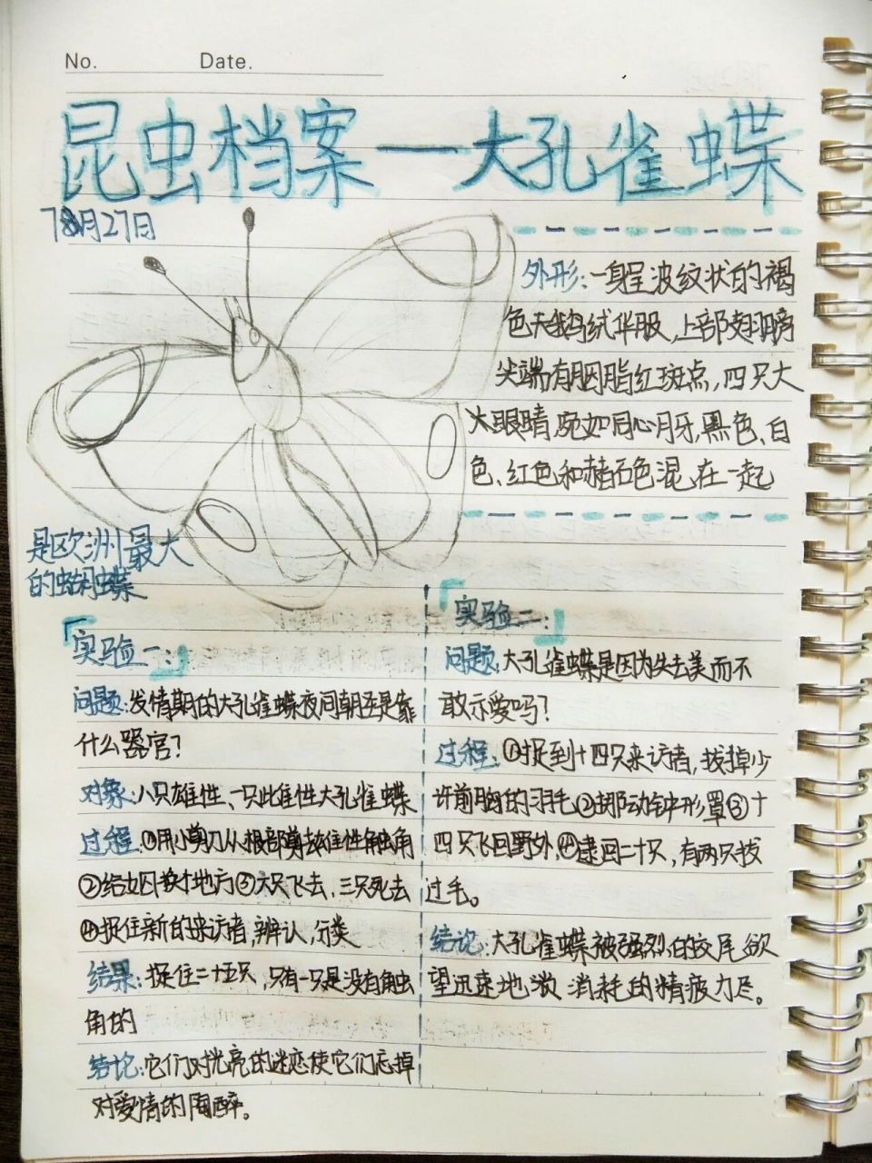 《昆虫记》昆虫档案,书中的两只小蝴蝶7815