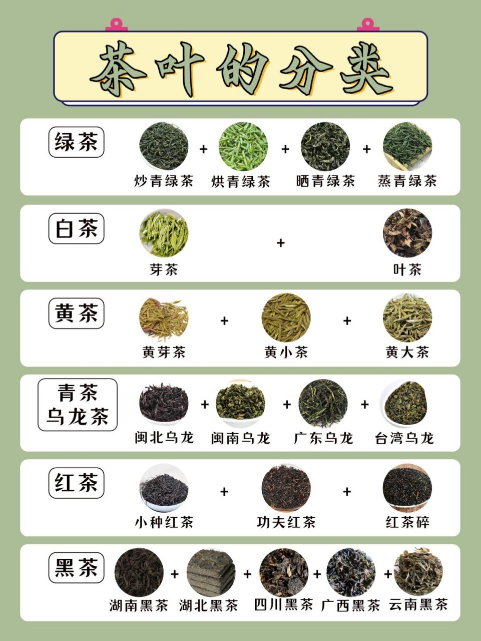 茶叶的种类有哪些图片图片