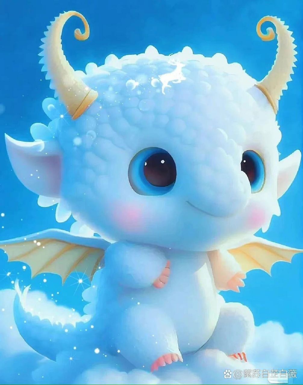 生肖龙的图片壁纸 可爱的龙