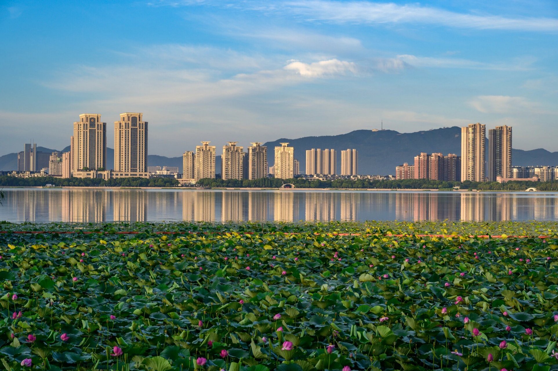 宜兴团氿的早晨,安静又有活力  早晨团氿变边走一走,拍一拍,这就是
