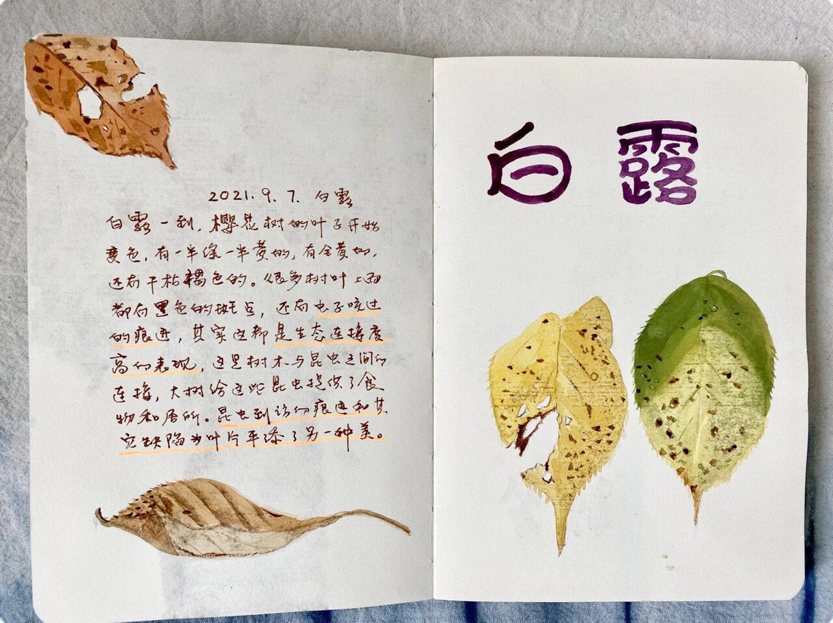 65岁老人的自然笔记,守一树樱花绽放 18日我们在图书馆举行了第2期线