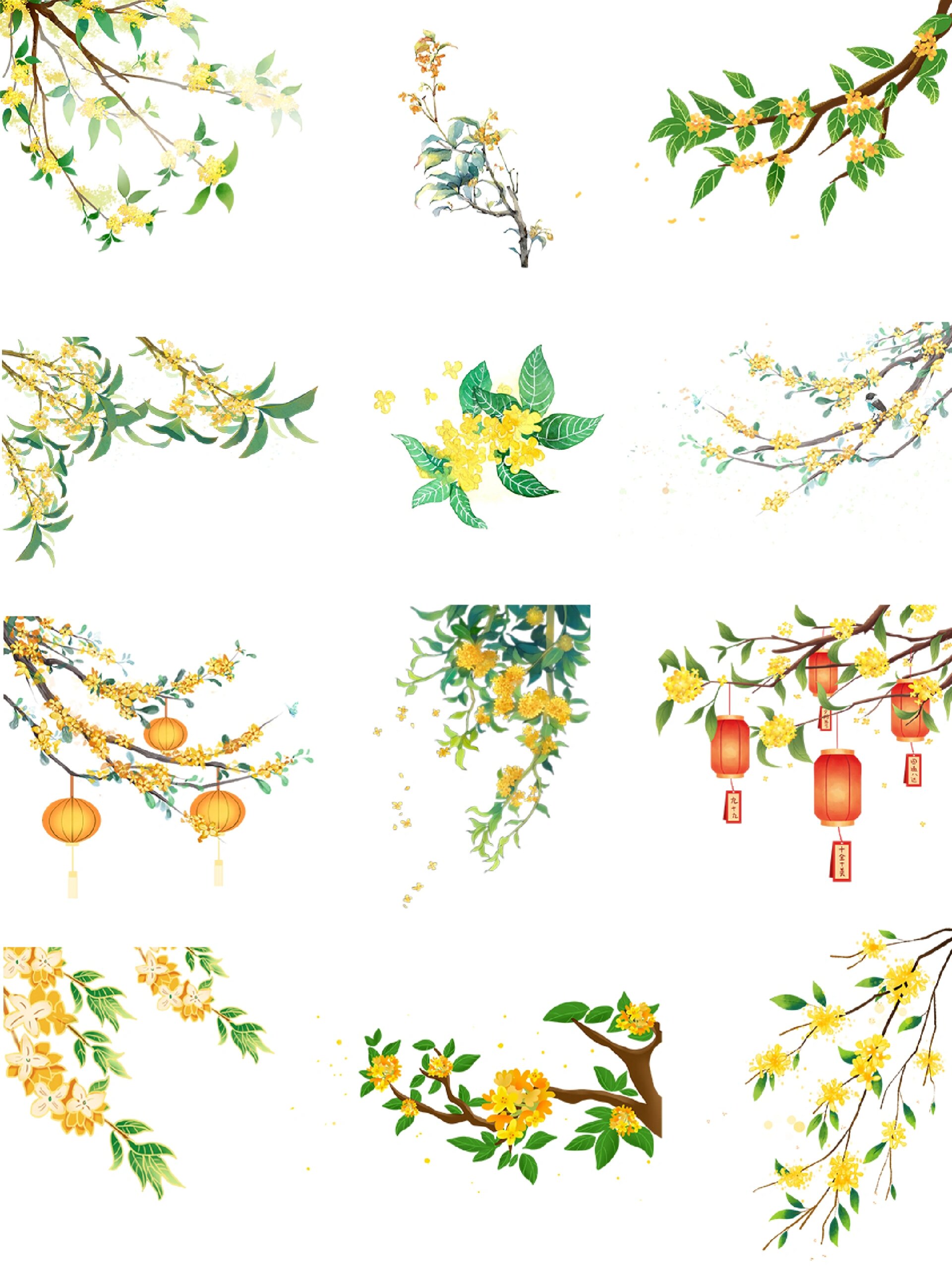 中秋节|桂花|免扣素材