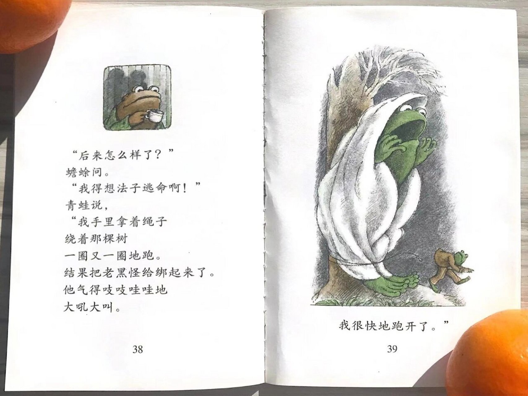 童书推荐|《青蛙和蟾蜍好伙伴》 97推荐年龄:5-8岁,亲子共读的桥梁