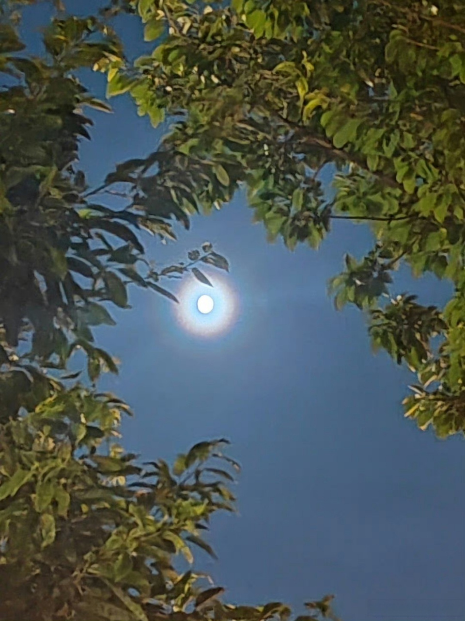 明朗夜空中,月亮周围出现几层彩色光晕,五彩斑斓.[月亮]
