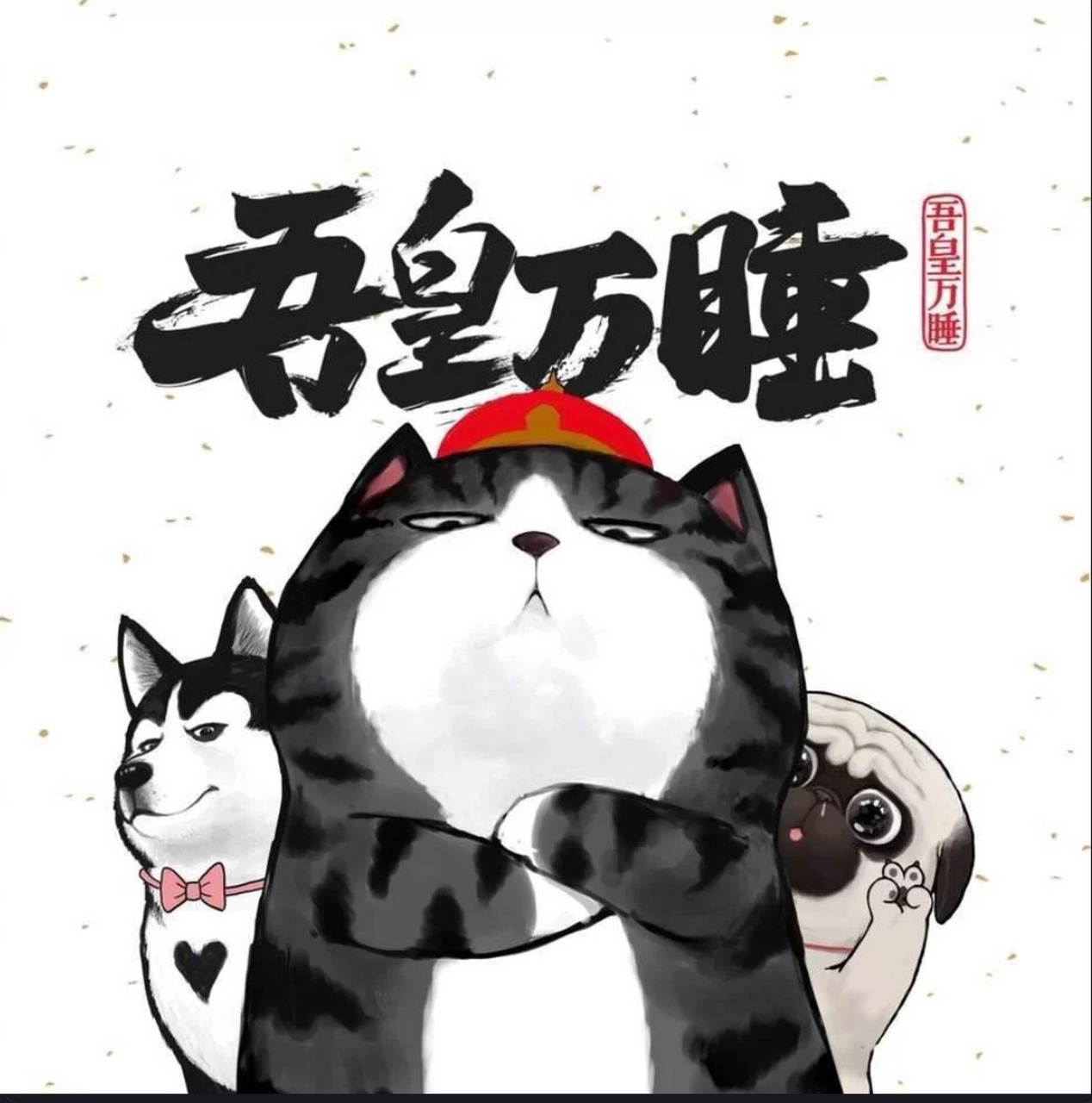 吾皇猫壁纸与头像!