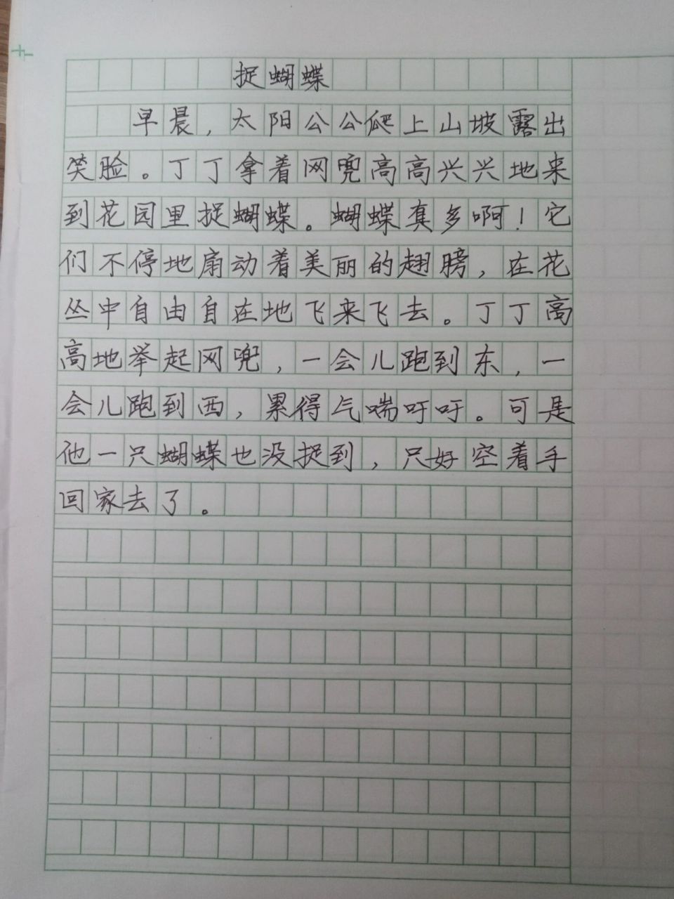 小学生看图写话,捉蝴蝶! 小学生看图写话,捉蝴蝶!