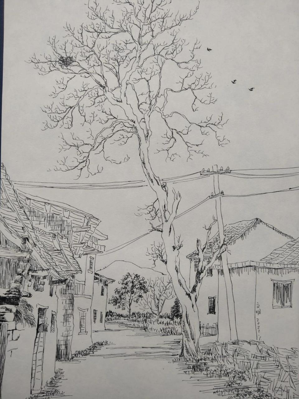 风景写生61乡村田园618开素描画