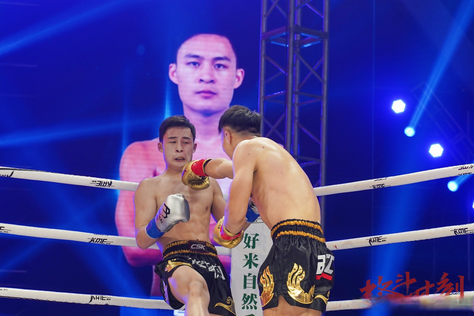 格斗时刻##搏击# 白鲨格斗再下一城,白鲨格斗孙志祥胜付高峰战队袁武