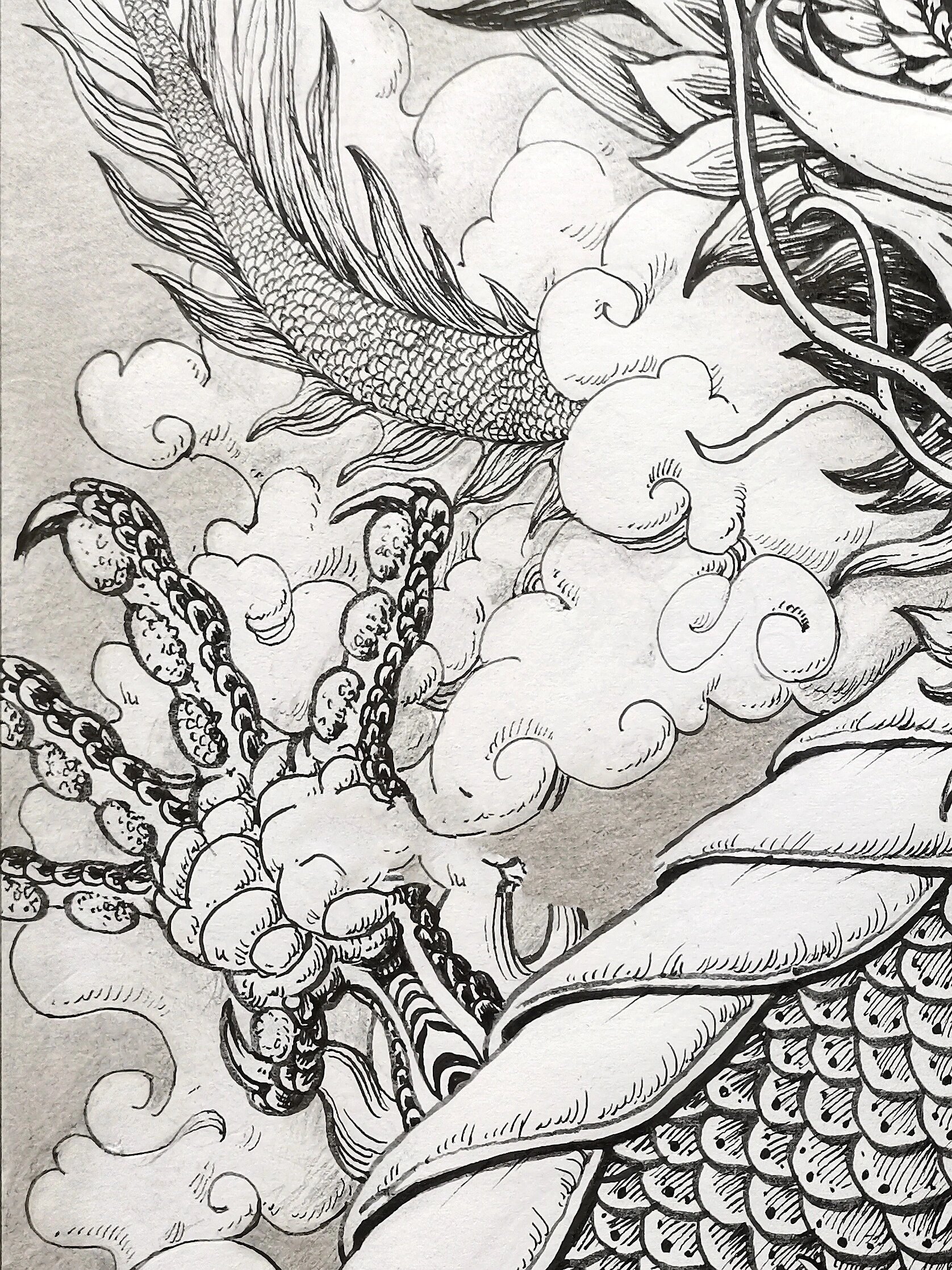 中国龙·原创手绘(完成稿正面步骤图