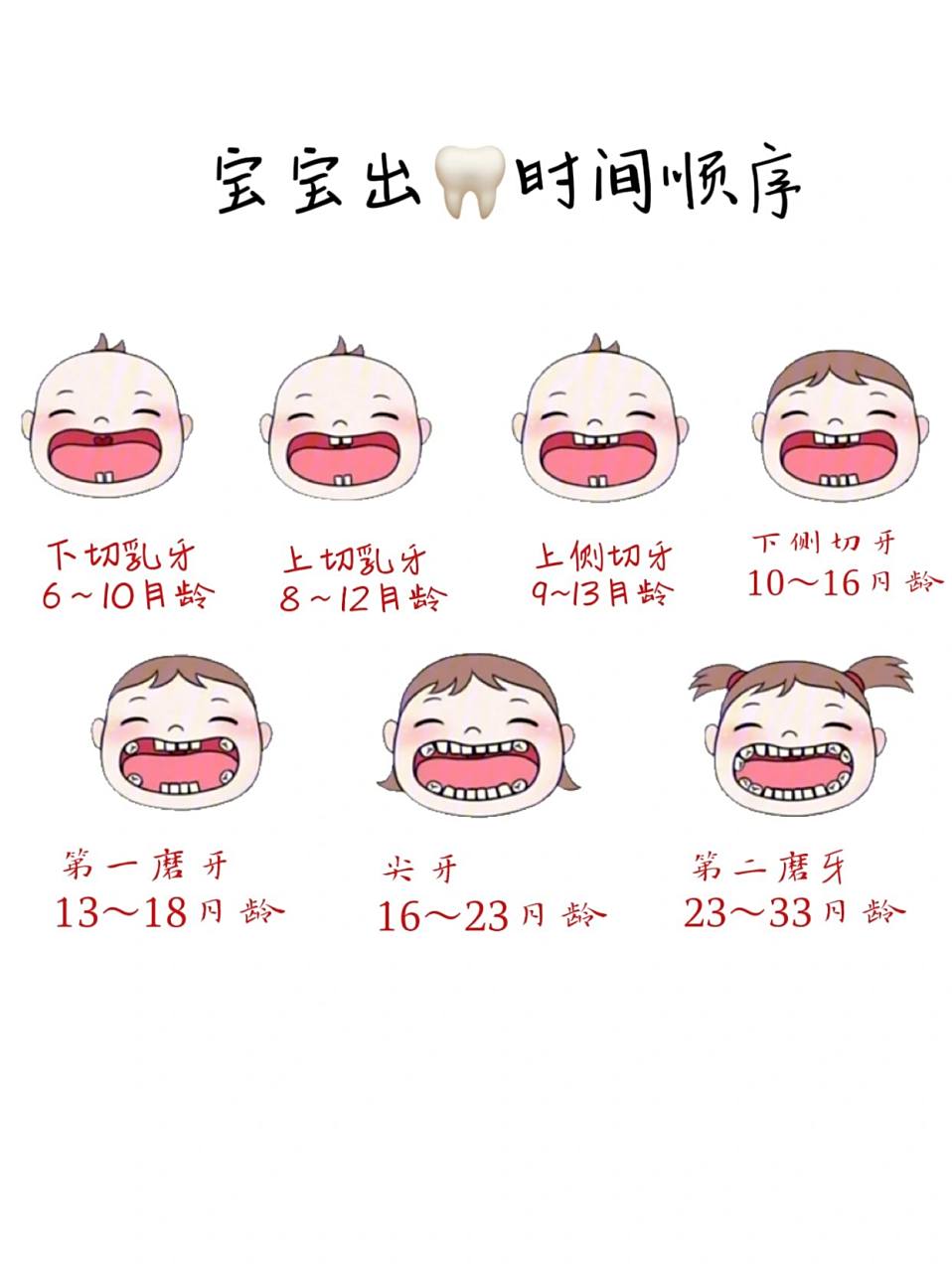 干货94宝宝出牙顺序全攻略 宝宝大约从6-10个月开始长牙,直到2岁半