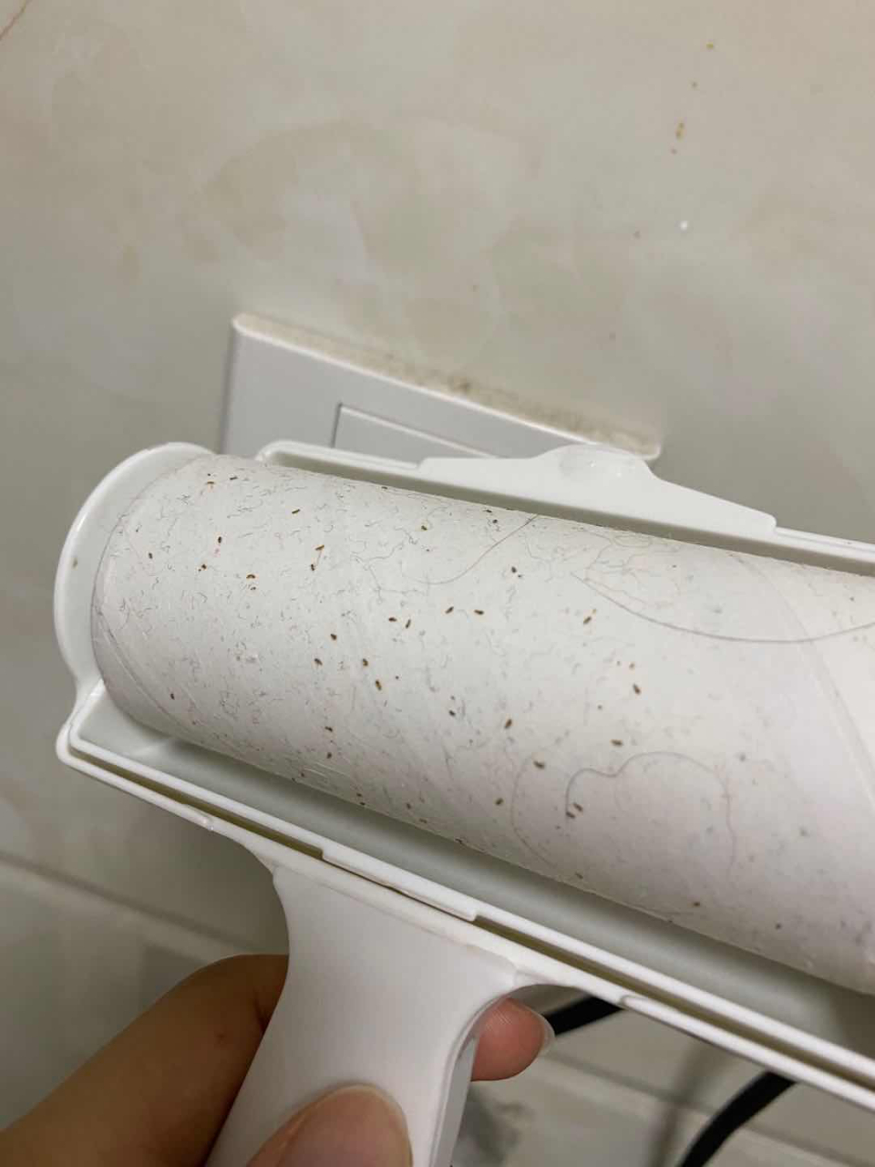 如何搞定家里床上莫名其妙的小虫子 小心图二,密集恐惧症别进入 因为