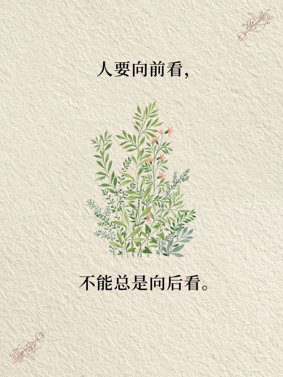 人要向前看,不能总是向后看 #禅悟人生