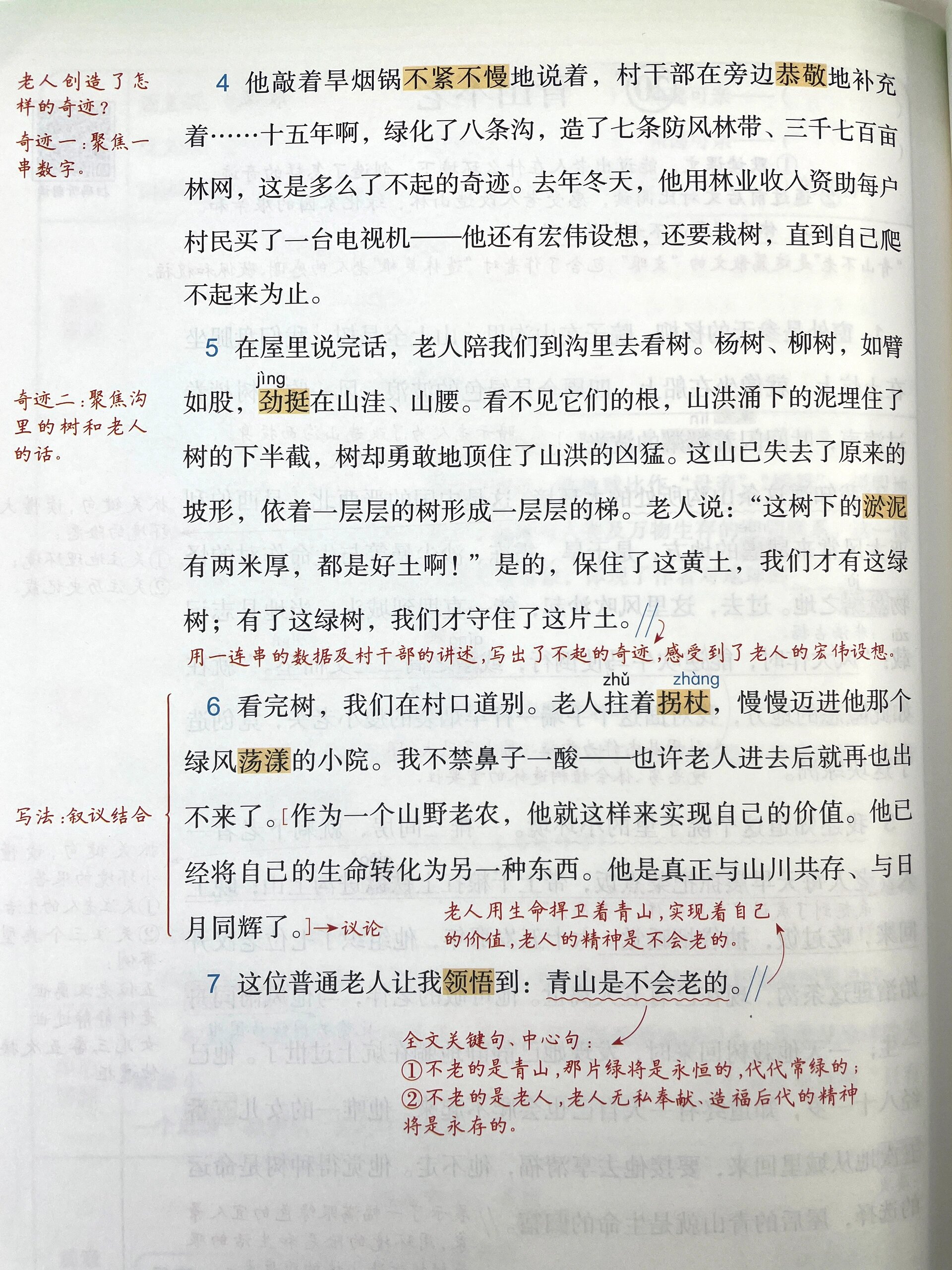 六年级语文上册