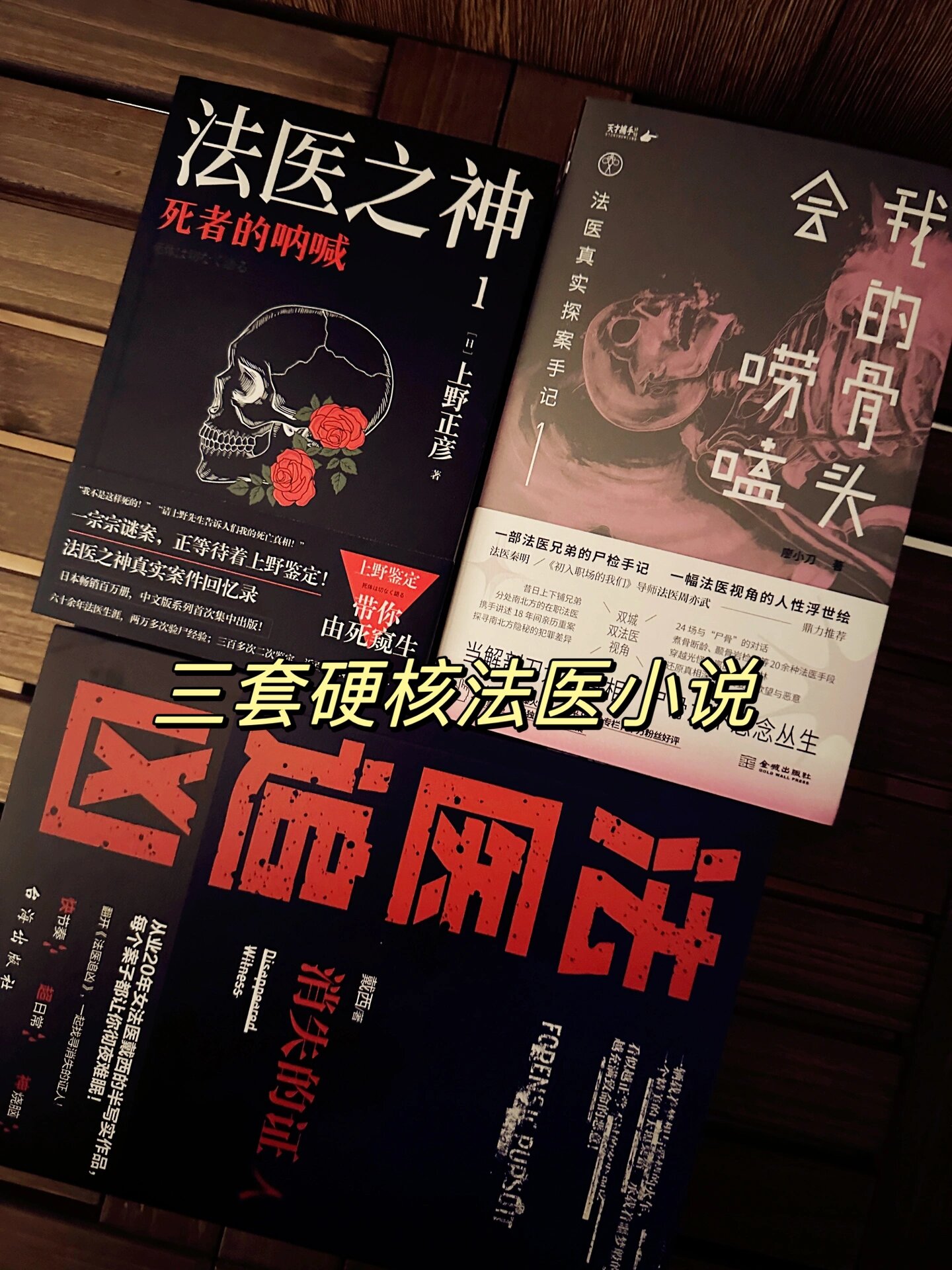 小说我在古代当法医