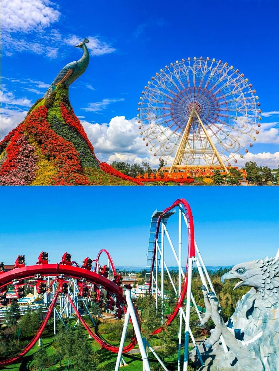 七彩云南欢乐世界98最全游玩攻略78盛夏狂欢 芒果的宝藏游乐园