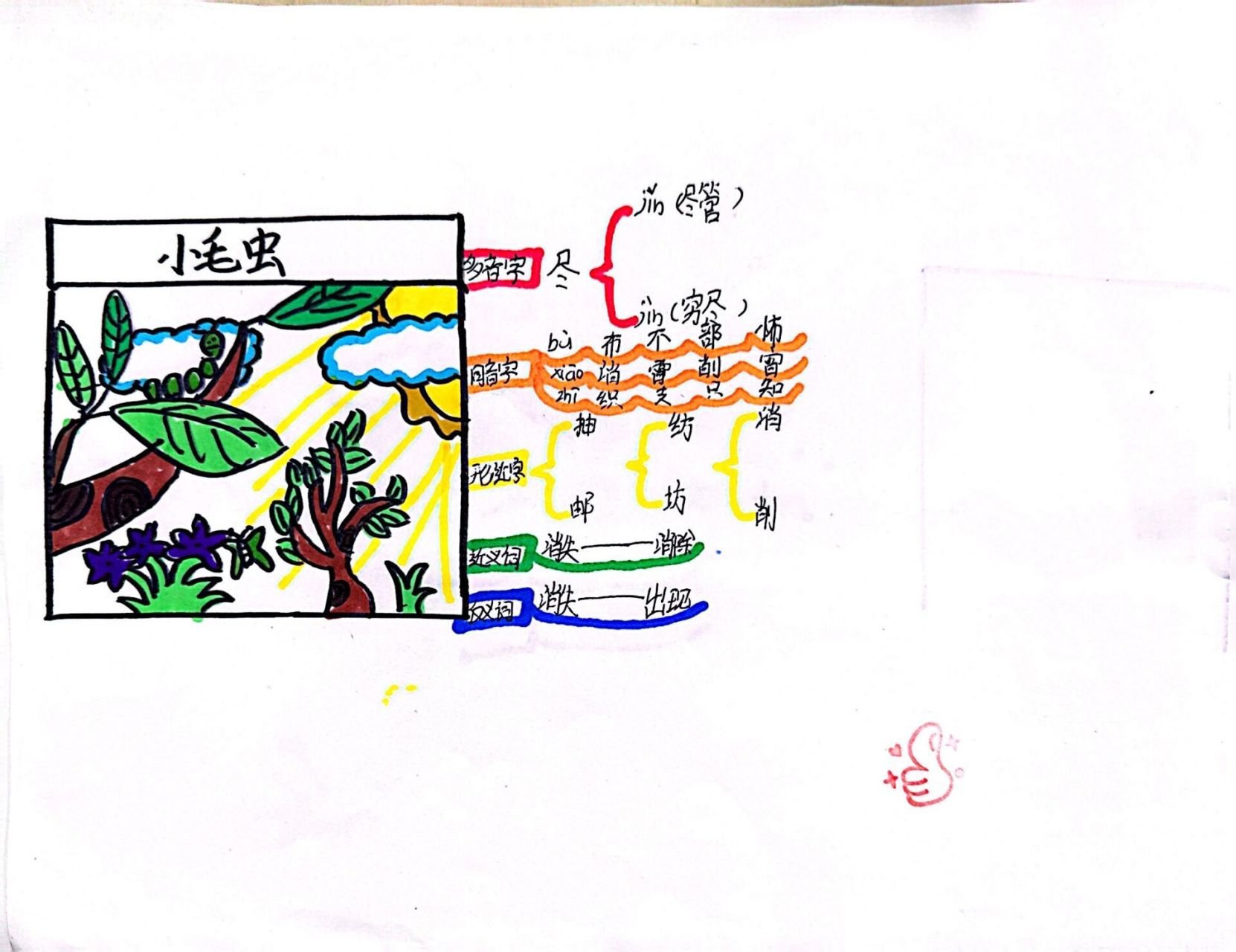 小毛虫的思维导图简单图片