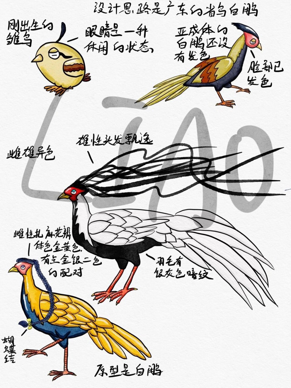 白鹇鸟卡通图片