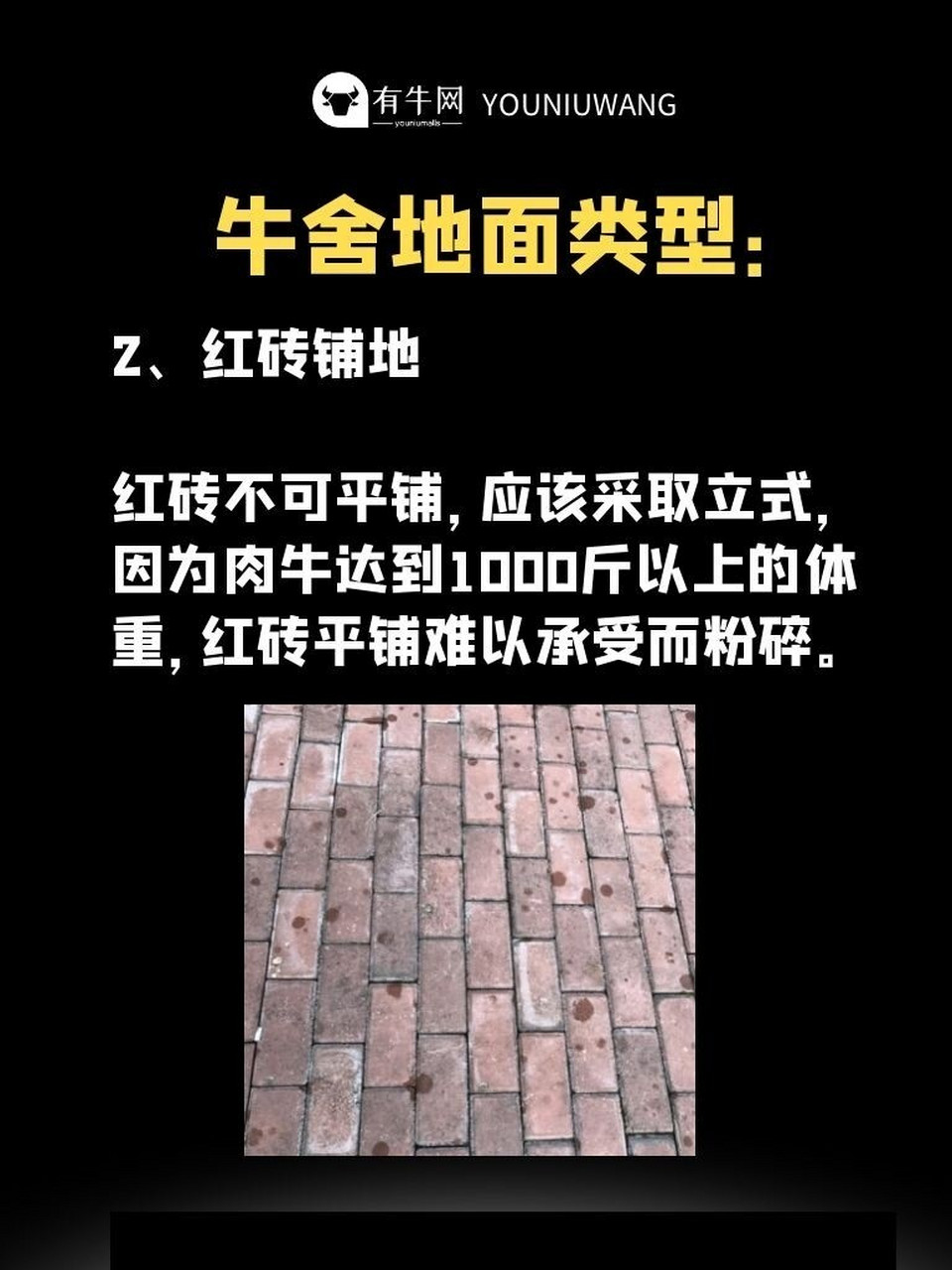 很多要养牛的朋友却认为,牛舍使用什么棚子好.